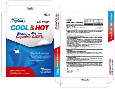 Image Of Carton (Toplast Carton)